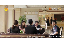 泌阳专业要账公司